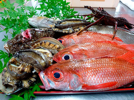 駿河湾の食材